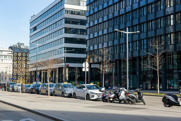 Accessoires chat : le meilleur pour votre compagnon à quatre pattes